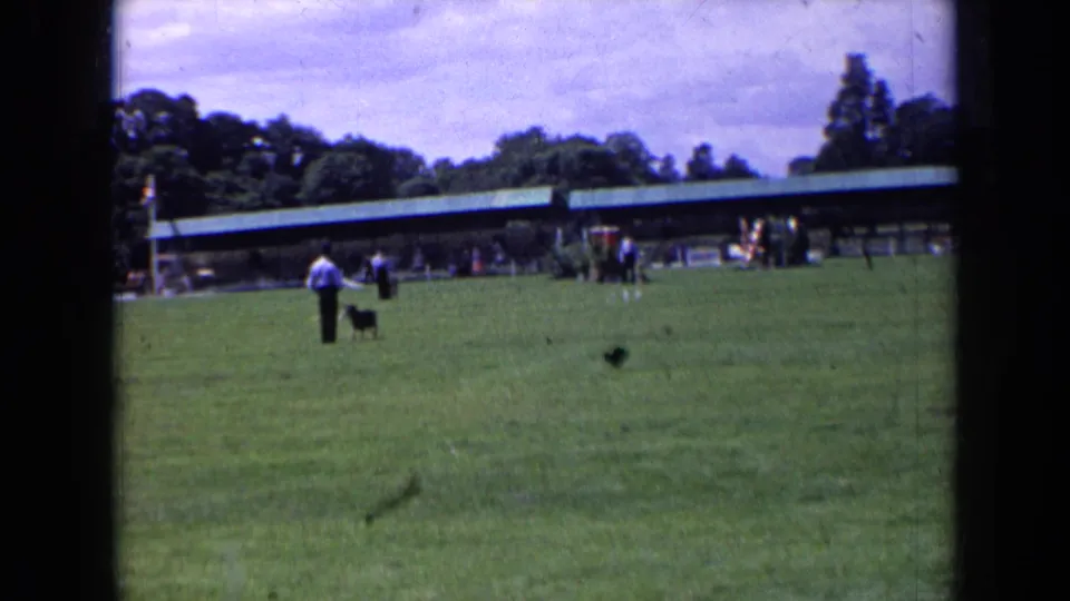 The handler and small dog are together on the grass, framed by distant onlookers, trees, and a long pavilion in 1963 England footage.