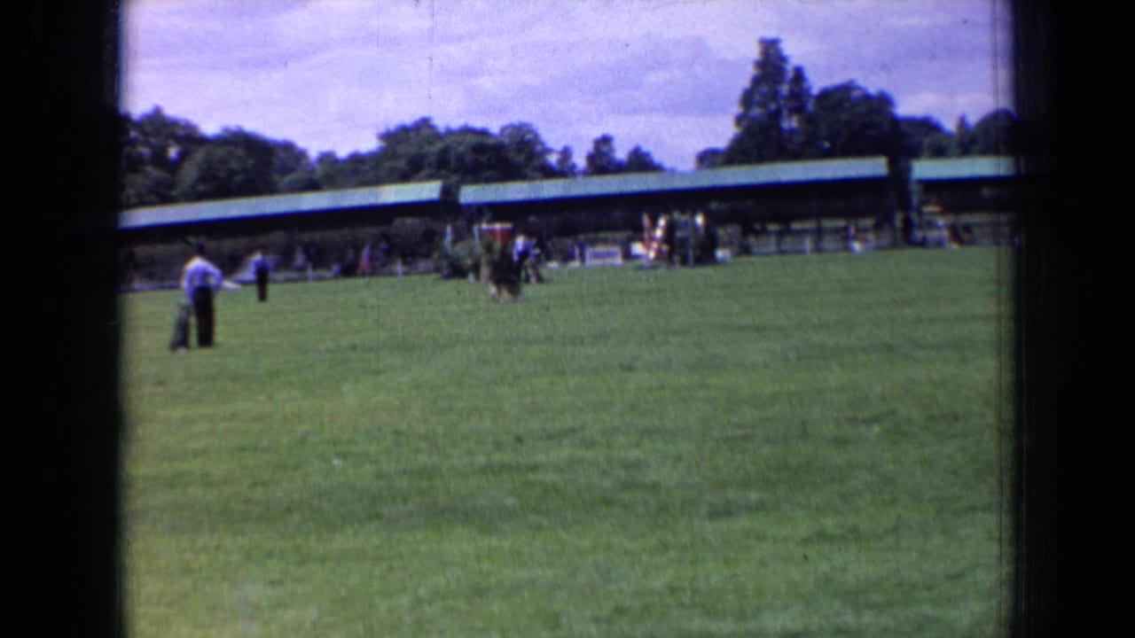 People stand on a grassy field as a small dog moves near the center of the event area.