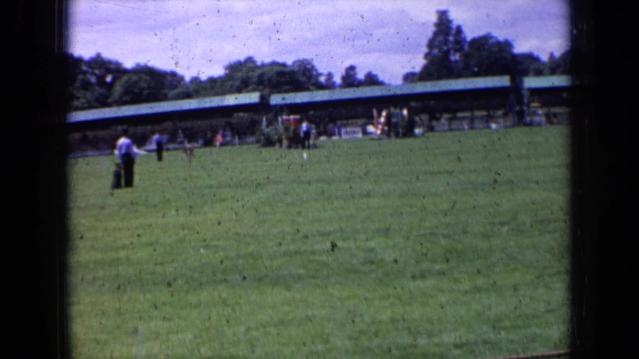 Wide grassy dog show field with distant handlers, spectators, tents, and trees.