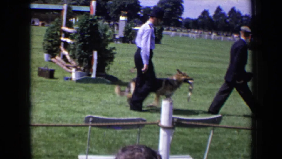 A handler leads a German Shepherd-type dog beside a rope barrier while another suited man crosses the grassy show area.