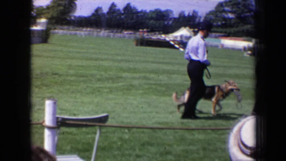 A handler in a light shirt leads a German Shepherd-type dog across the grass, with fair tents and spectators behind them.
