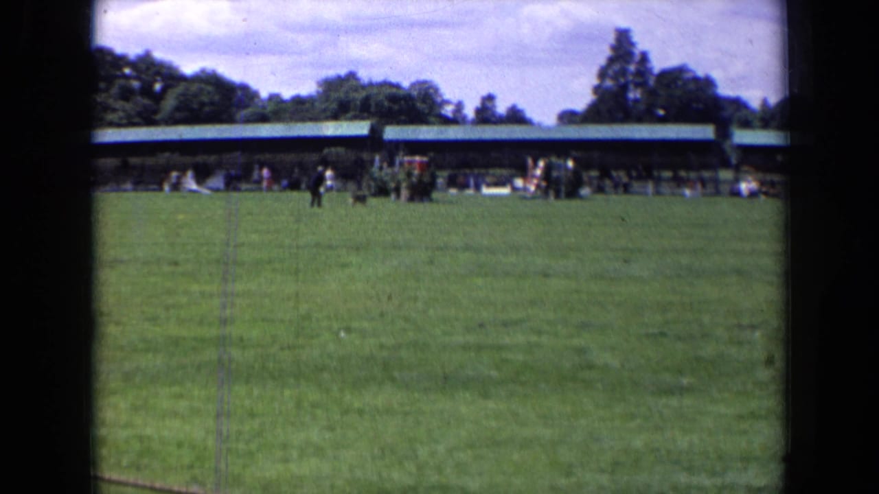 Wide park field with a distant runner, black dog, pavilion, trees, and cloudy sky.