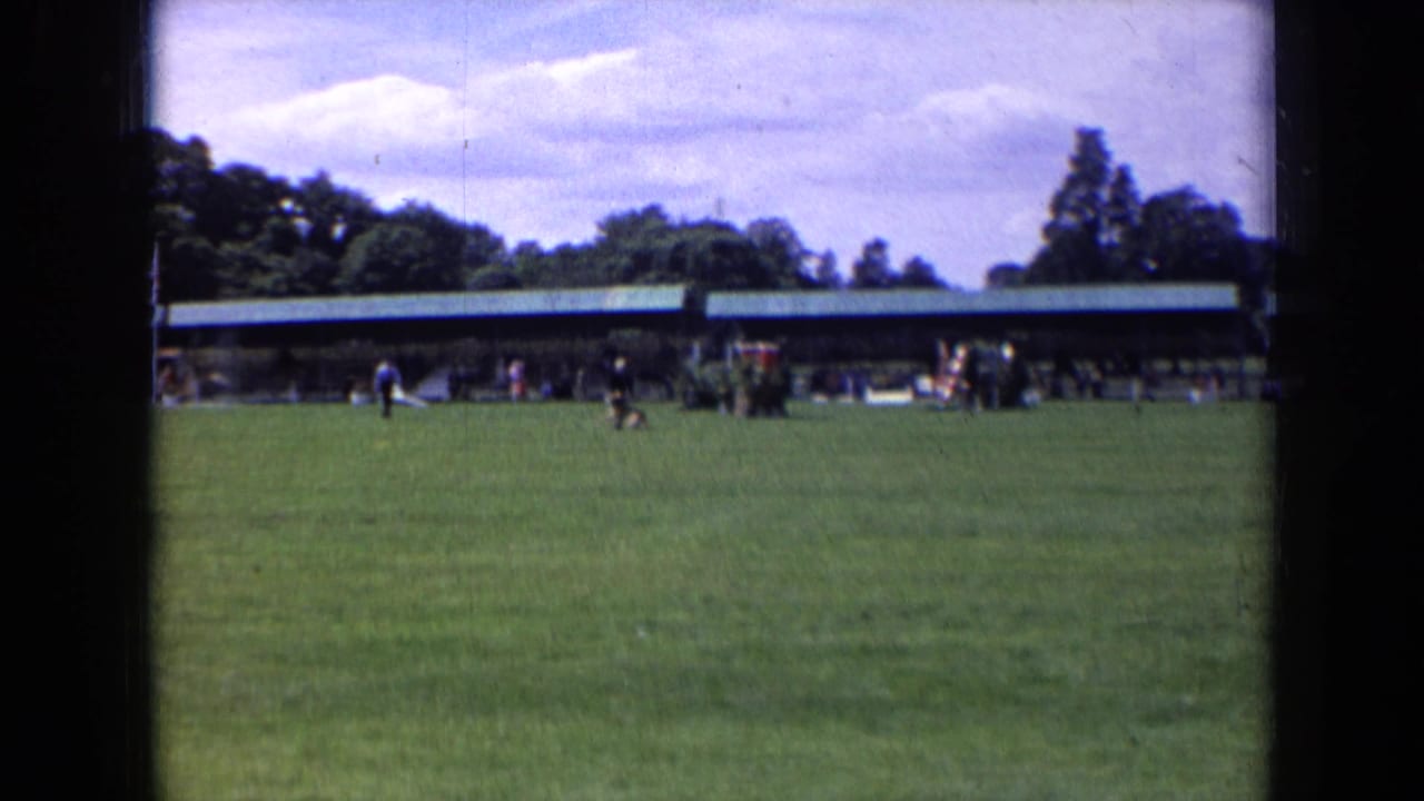 Distant field activity with people near a pavilion and trees behind it.
