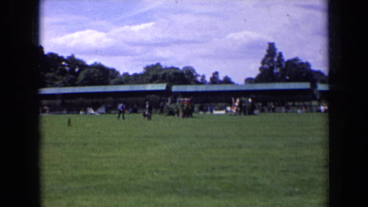 People and a dog crossing a green lawn with a covered pavilion and trees behind them.