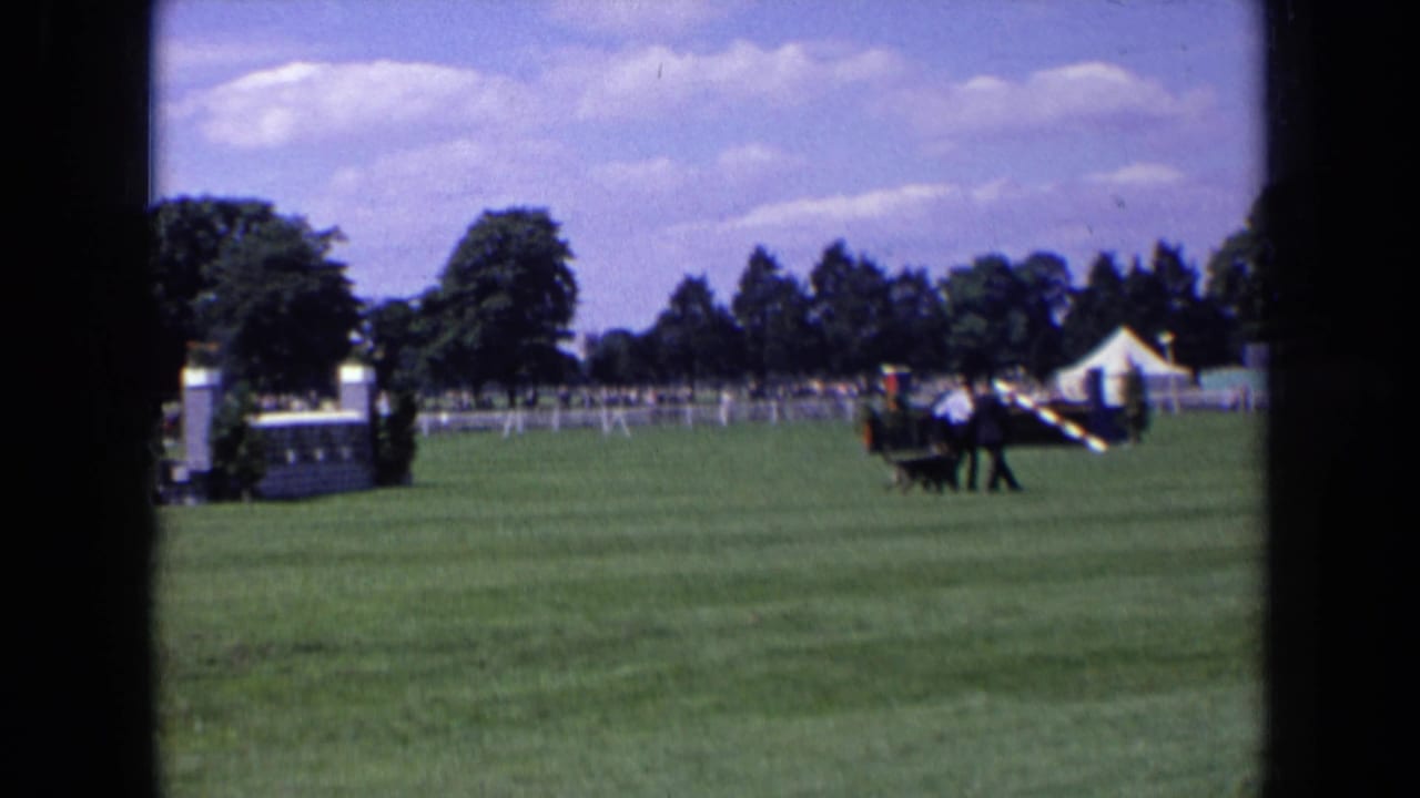 Horse and rider pass a jump while a suited figure stands nearby on the grass.