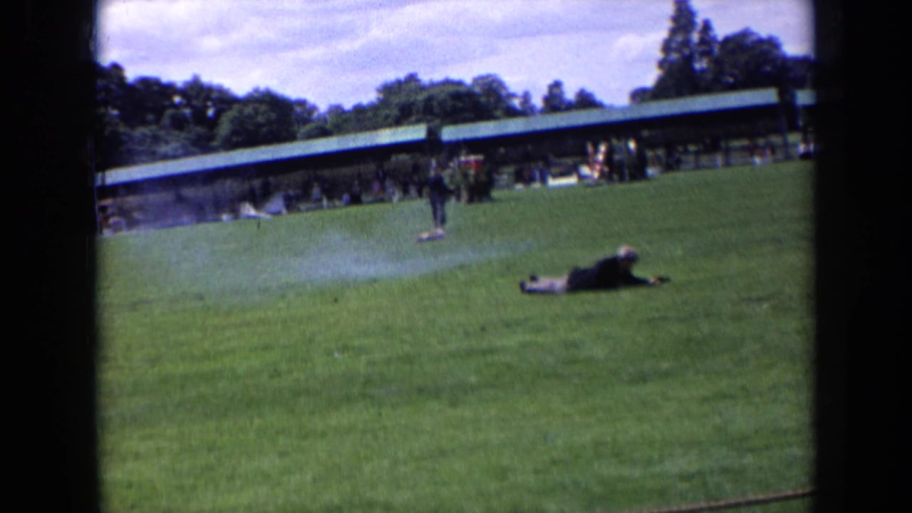 Dog and prone person on a grassy pitch with spectators under a long shelter.