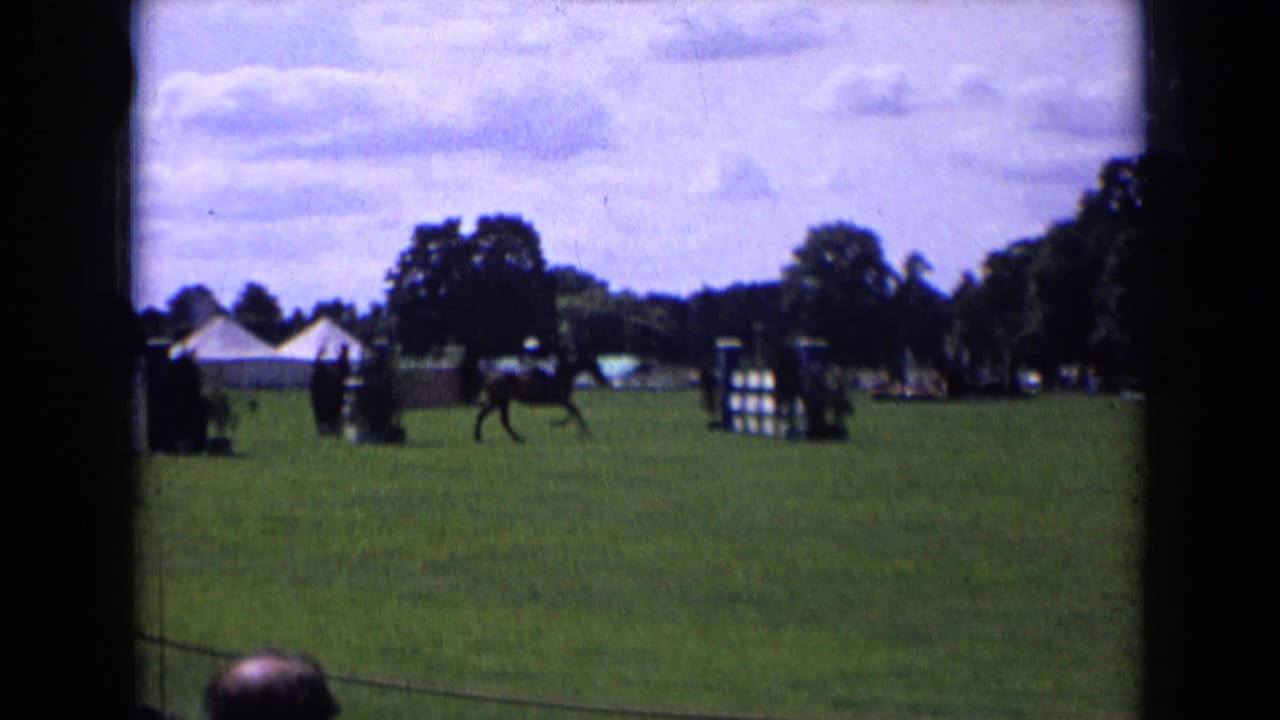Horse and rider move across a grass show-jumping field with obstacles and tents in the background.