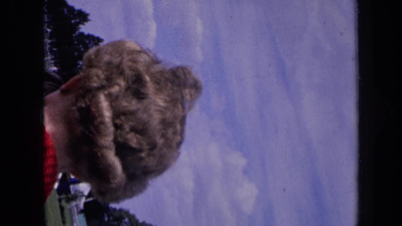 Close spectator hair in foreground with sky and trees behind.