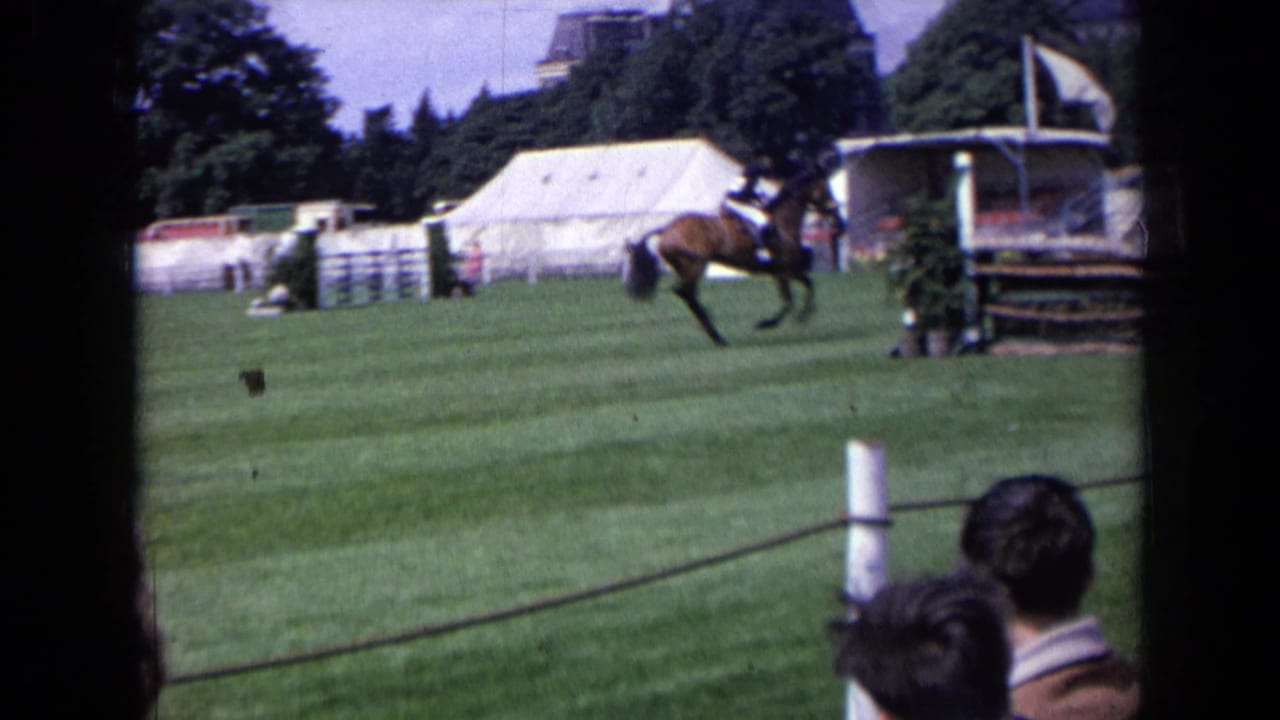 Horse and rider approach a jump on a grass field as spectators watch from behind a rope.
