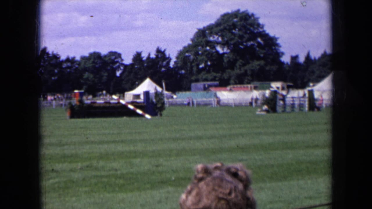 Rider on horseback near show jumps and tents across a grass field.