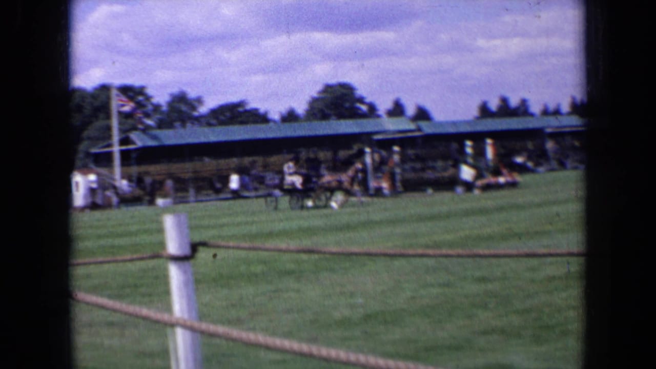 Horse-drawn carriage moving across a field in front of a covered stand with spectators and flag.