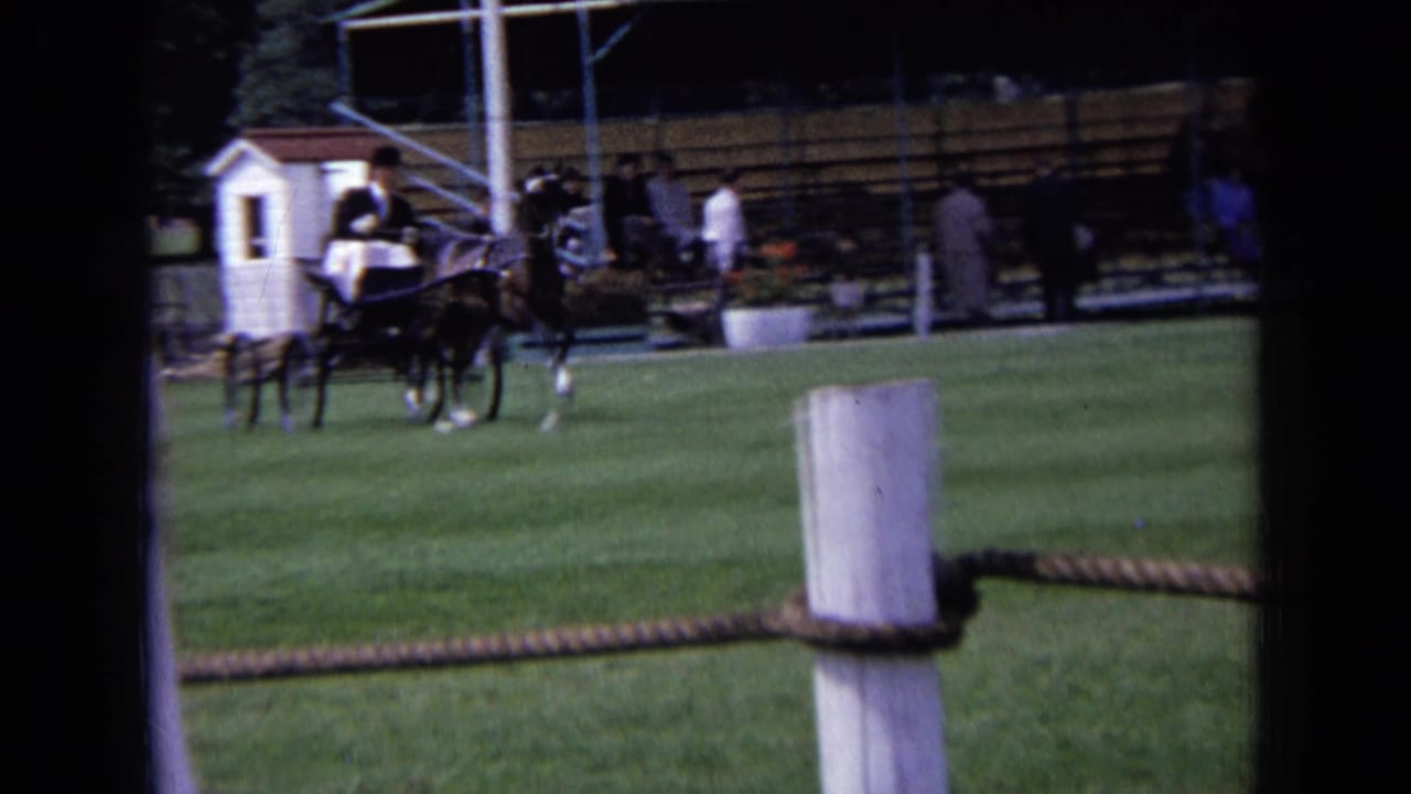 Horse-drawn carriage on a grassy field seen through white posts and rope.
