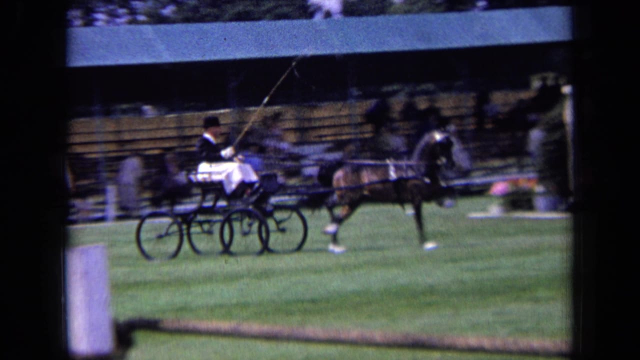 Carriage driver guides a dark horse across the show field near bleachers.