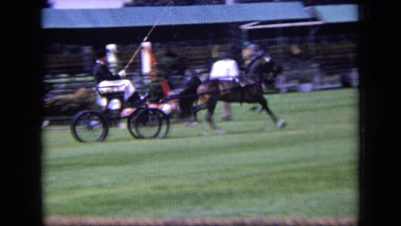 A formal driver rides a two-wheeled carriage behind a trotting dark horse, filmed through a rope barrier at a 1963 England equestrian event.