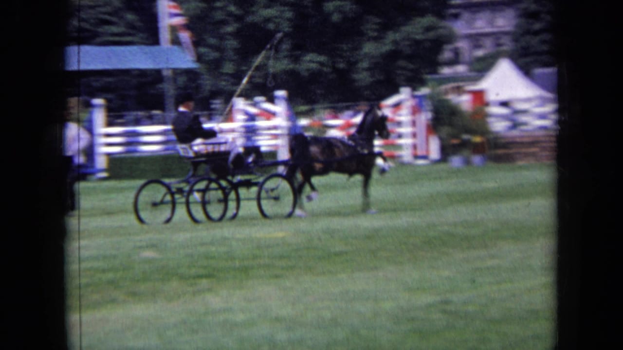 A horse-drawn carriage continues across the equestrian field, with white jump rails, a tent, trees, and distant spectators in view.