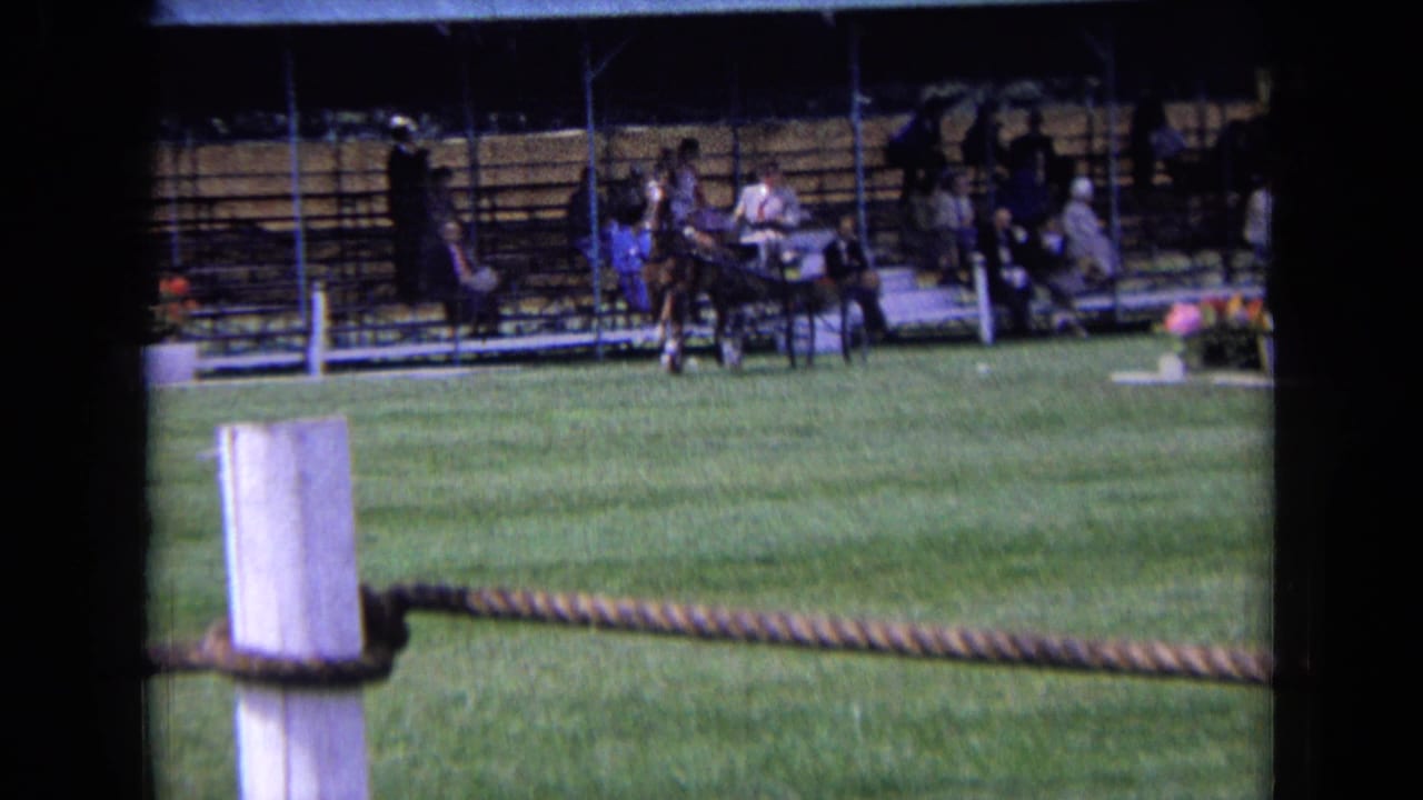 A horse and small carriage approach near the spectator stand across a grass ring.