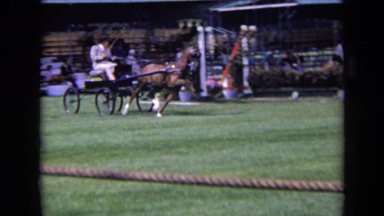 1963 England 8mm frame showing the horse and two-wheeled carriage moving rightward on the grass course before spectators.