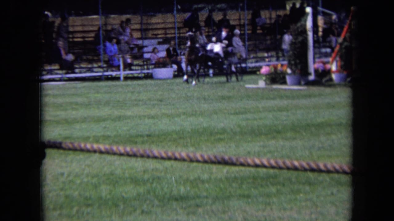 Distant view of a horse-drawn carriage team in front of bleachers at an England equestrian event, filmed from behind a rope boundary.