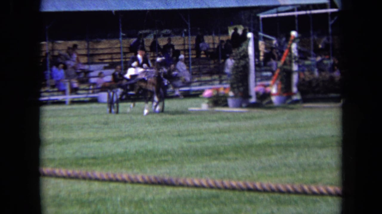 A horse-drawn carriage passes the bleachers and course decorations at the equestrian field, with spectators visible in the background.
