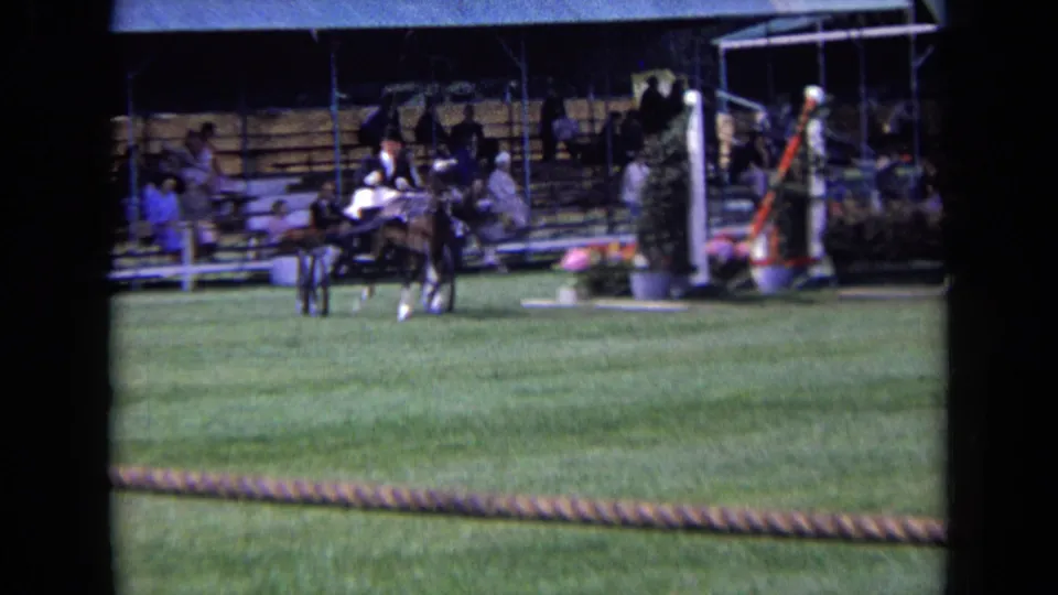 A horse-drawn carriage passes the bleachers and course decorations at the equestrian field, with spectators visible in the background.
