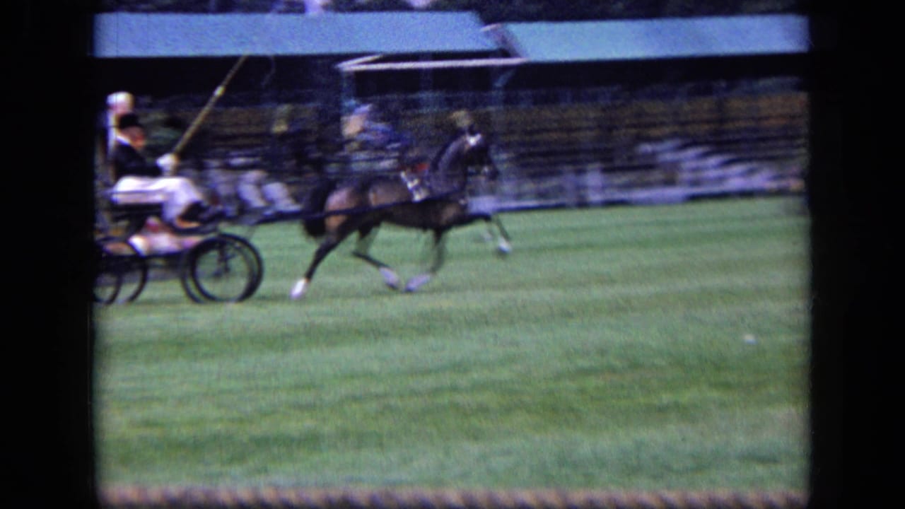 1963 England frame of a dark horse pulling a small racing cart across grass, with a formally dressed driver and event seating behind.