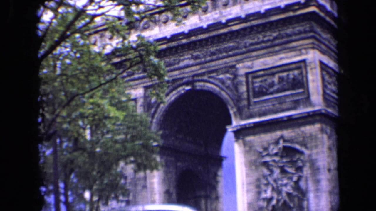 Arc de Triomphe partly framed by dark tree trunks and green foliage.