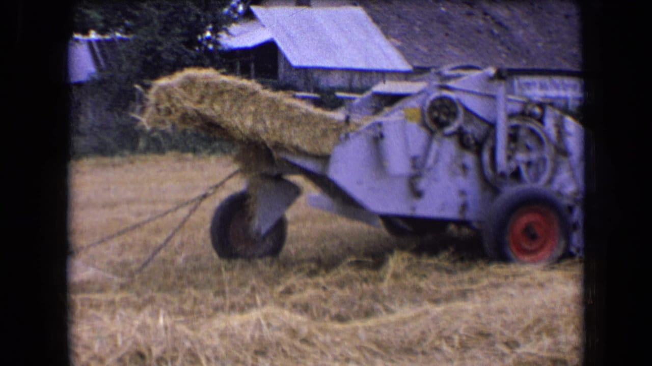 Side view of a white baler loaded with straw in a harvested field.