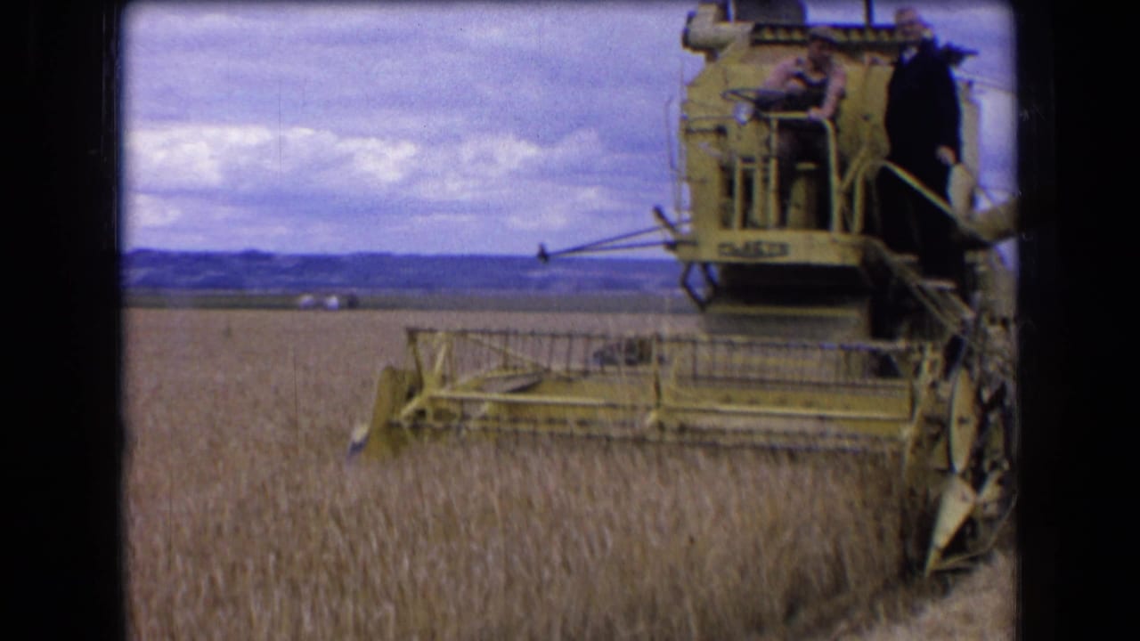 Yellow combine harvester cutting through a wheat field under a cloudy sky.
