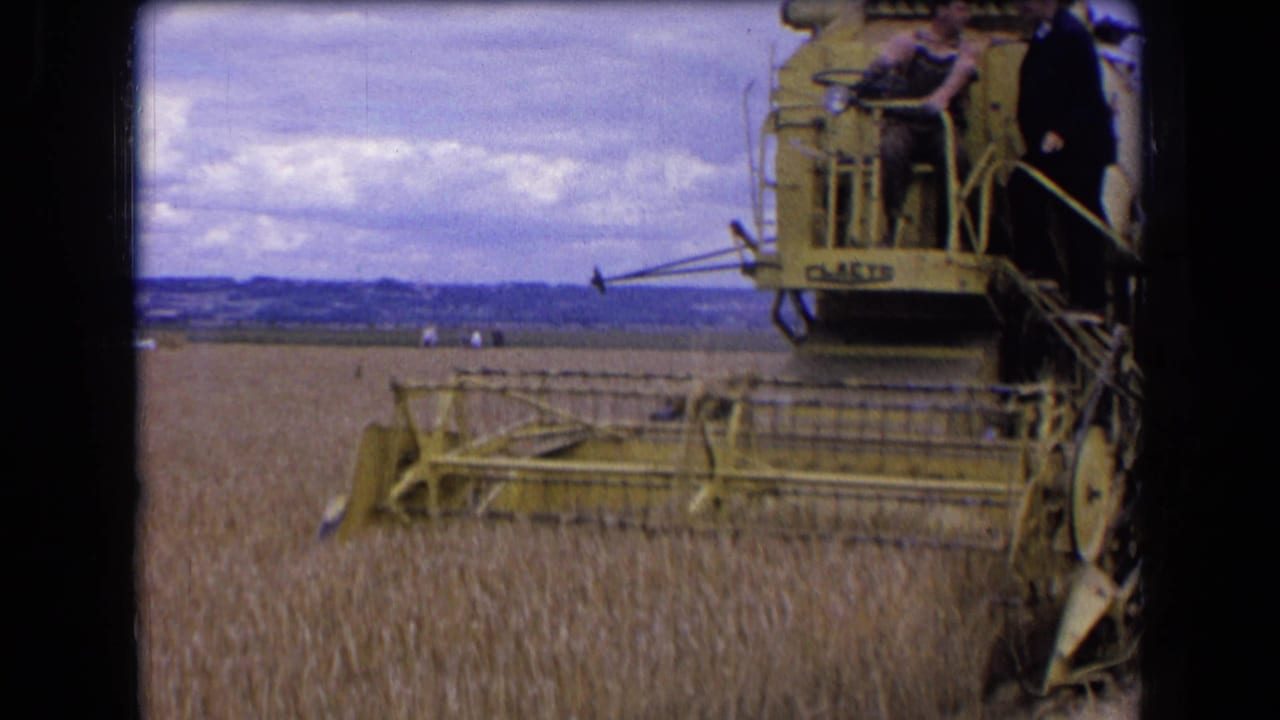 Combine harvester at the edge of a wheat field with men visible on the platform.