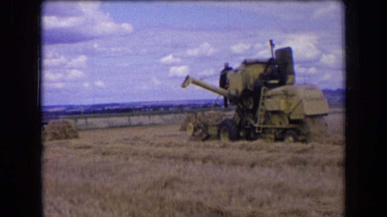 In metadata-supported 1963 France, a combine harvester works across a wheat field with an operator visible on the machine.
