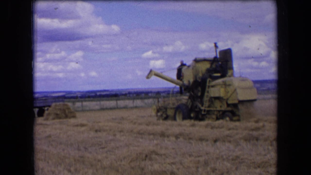 Combine harvester beside cut wheat with a field boundary in the background.