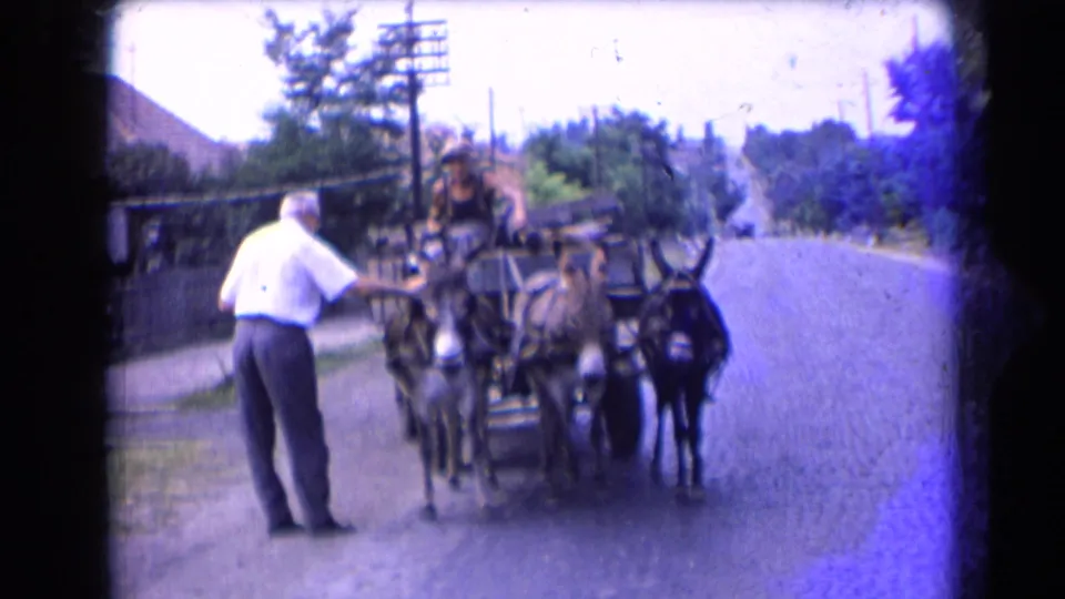 1963 France roadside frame showing a man near a donkey-drawn carriage on a paved road with trees, fences, and houses.