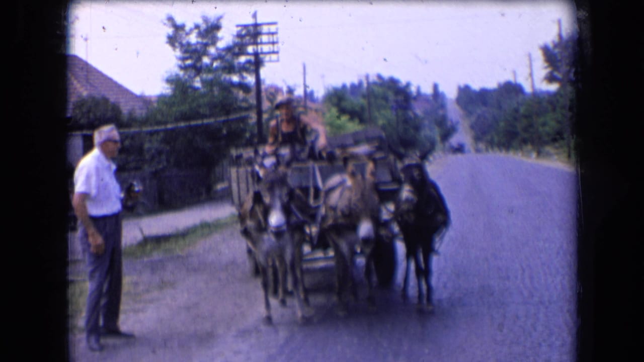 In France, 1963, a cart pulled by three donkeys approaches the camera while a man in a white shirt watches from the roadside.