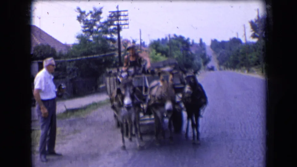 In France, 1963, a cart pulled by three donkeys approaches the camera while a man in a white shirt watches from the roadside.