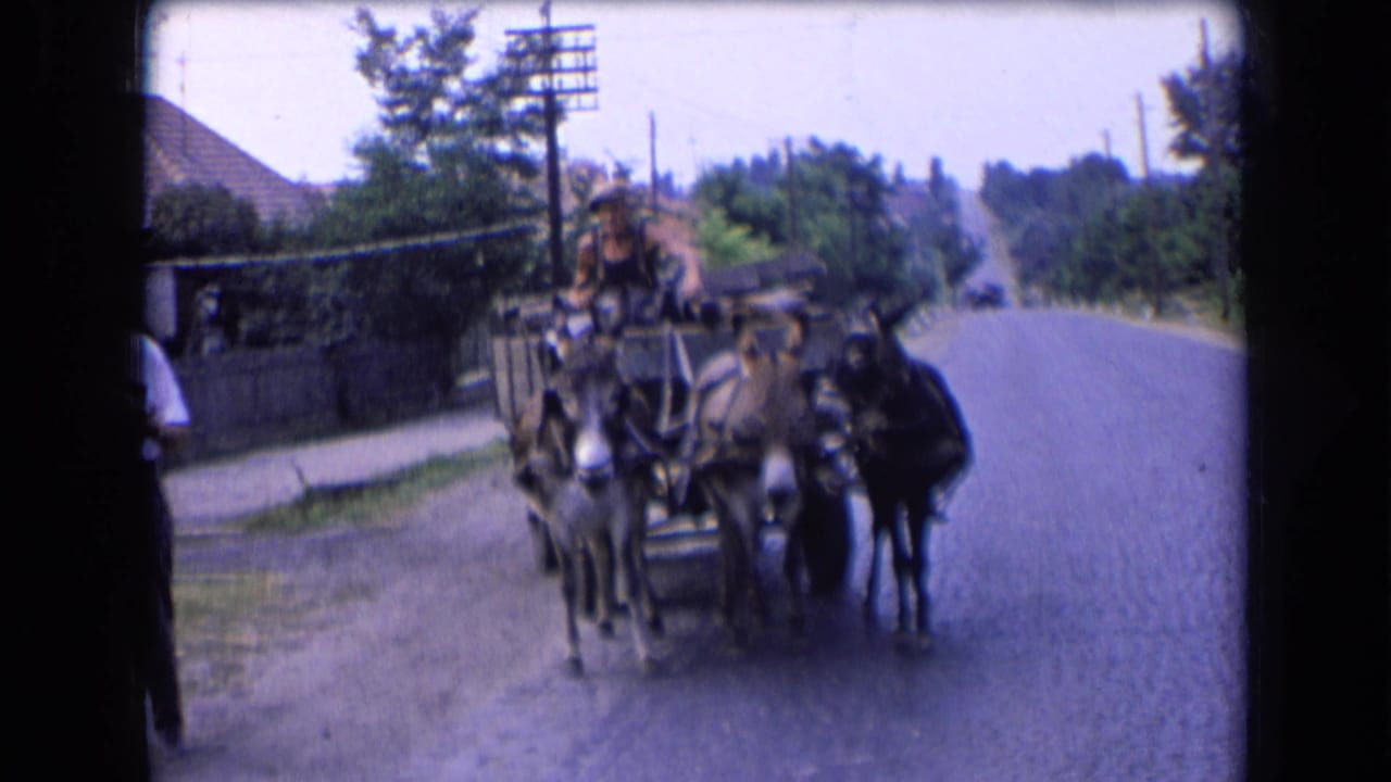 Donkey cart continues along the road with houses and trees behind it.