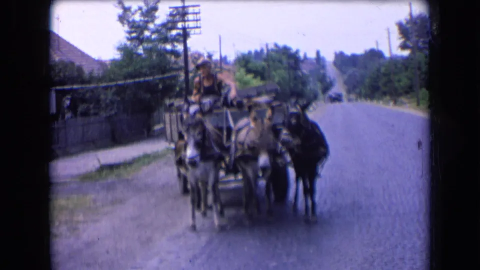 A 1963 French home-movie frame shows three donkeys pulling a small cart toward the camera on a quiet village road.