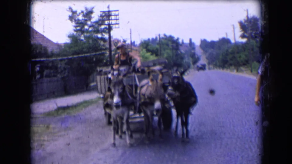 Near the end of the 1963 France clip, the donkey cart fills more of the frame beside the open village road and roadside trees.
