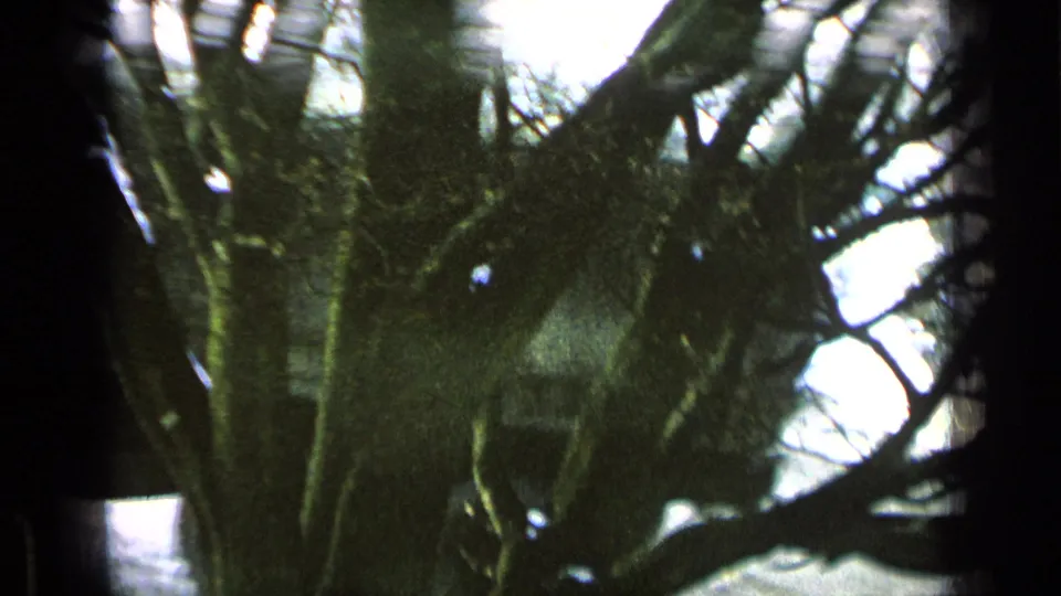 Soft 8mm view of the truck moving past trees, with the vehicle mostly in shadow and a pale base building in the background.