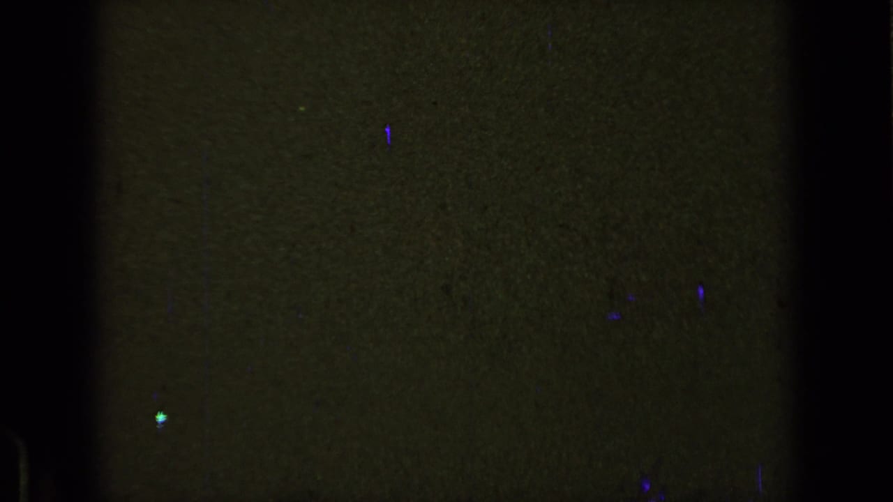 Dark olive-green film field with black edges, grain, scratches, and small blue-purple specks.