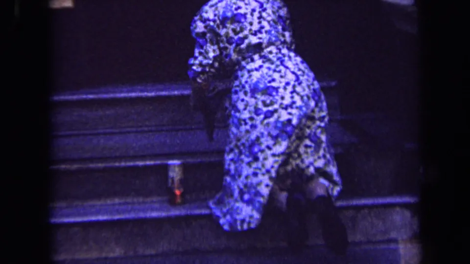 The woman appears bent forward while climbing or adjusting herself on stone steps in the London home-movie clip.