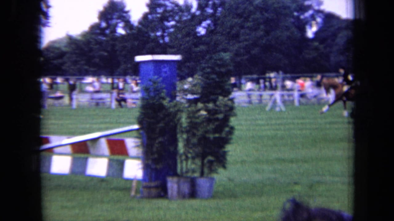Red-and-white jump rail and blue post stand in the foreground of a grassy horse course.