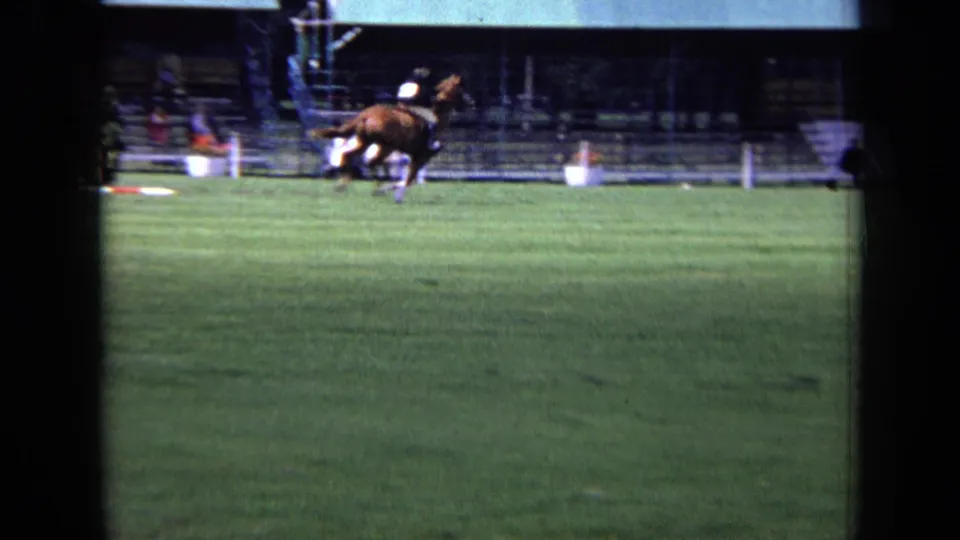 A brown horse with rider moves across the grass show-jumping field, with spectator seating and arena rails in the background.