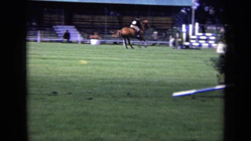 The rider and brown horse travel across the London equestrian field, with striped jump standards and distant spectators behind them.