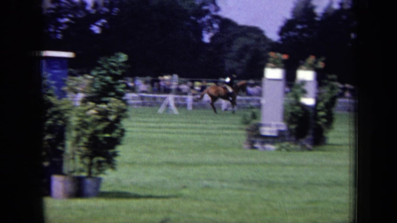 Horse and rider pass between show-jumping obstacles on a grass field.