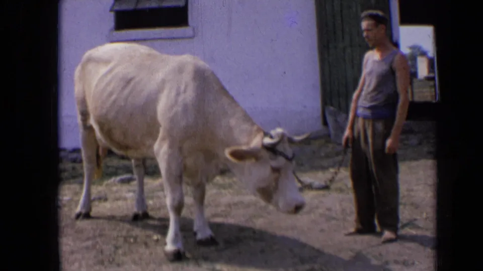 In Russia, 1963, an adult man stands near a tethered cream-colored cow outside a plain white rural building.