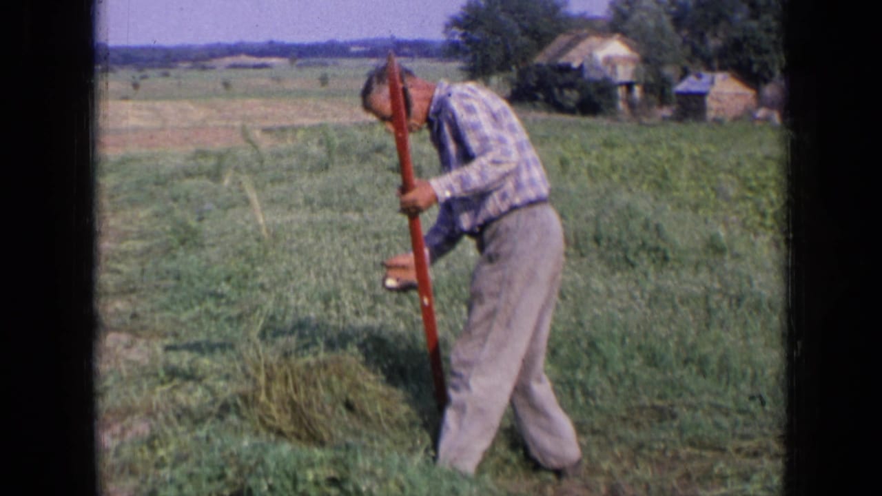 Man bends over a grassy field while holding a long red-handled tool.