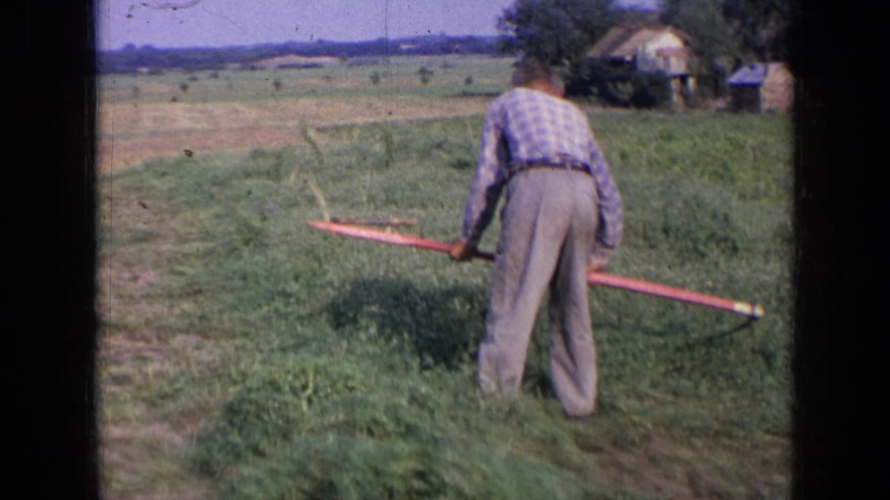 Man in a plaid shirt raking grass in an open rural field.
