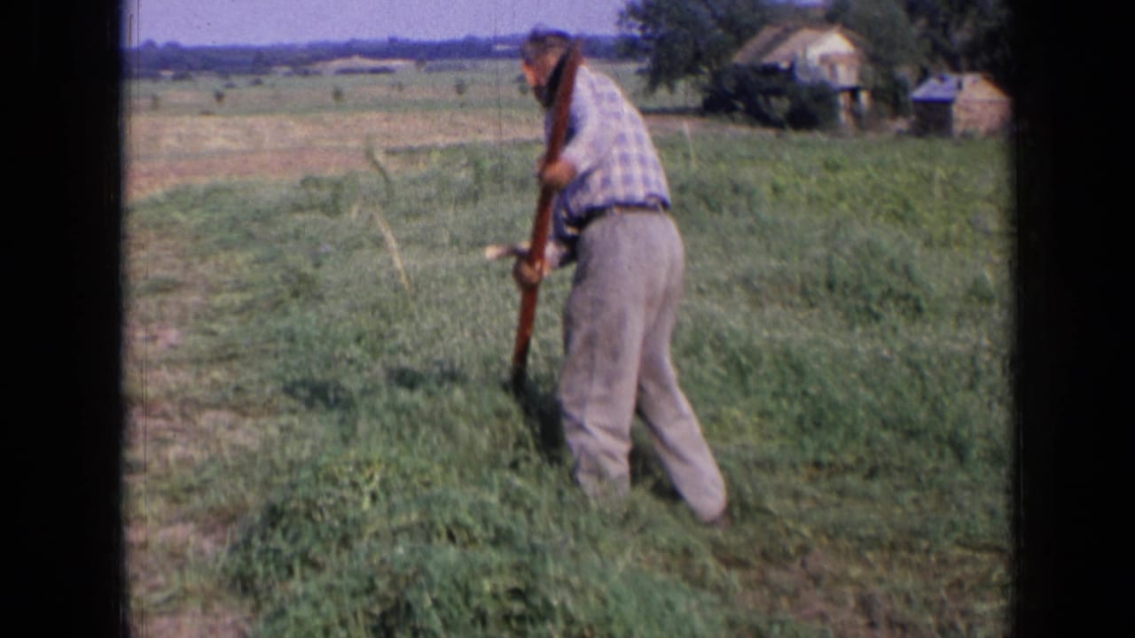 An adult farmer in a rural Russian field holds a long red-handled rake while working among cut grass, with houses and trees beyond.