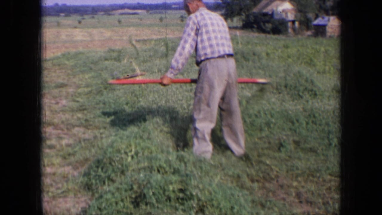 In 1963 rural Russia footage, a man in a checkered shirt works through tall grass with a long-handled sickle or scythe.