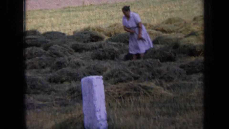 A woman in a light dress works among scattered hay bundles in the same rural harvest setting.